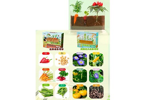 Набір для творчості 709757 (24шт) грунт, насіння, ємність(пластик) 21-13-4см, в кор-ці, 27-23-9,5см