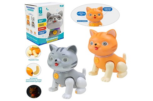 Кіт муз. арт. PL-724-14 (72шт/2) Грайся та навчайся", укр.мова, муз,пісня, у короб.13*9,7*17см"