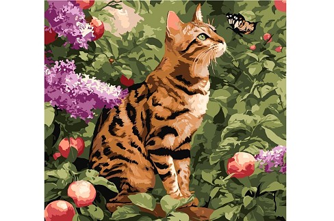 Набір для розпису по номерах Бенгальський кіт" 40х40см  KHO6794"