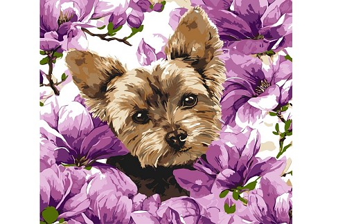 Картина по номерах Йорк в магнолії" 40х40см  KHO6796"