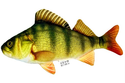 Іграшка м’яконабивна «ОКУНЬ» 50см  OK-50