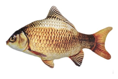 Іграшка м’яконабивна «КАРАСЬ ЗОЛОТИЙ 50см  K-G-50