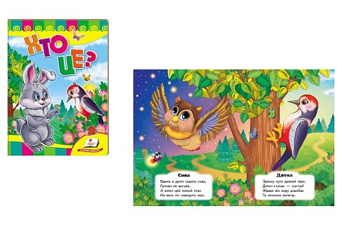 Книга КА5 СР Хто це? (Зайчик)" (укр)/20  Пег6688"