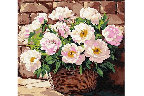 Картина по номерах Ніжний аромат" 40х40см  KHO3311"