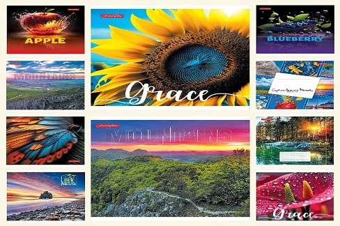 Зошит 48 арк. клітинка, серія МІКС з УФ-ЛАК, ТМ Фемілі Лайн, 10/200 ТЕ236 УПАК10шт