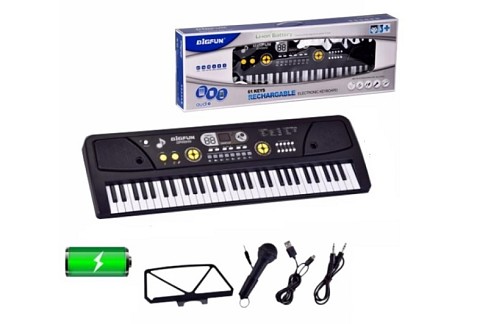Орган BF-6301C 61 клавіша,мікрофон,USB.AUX.кор.65,5*9*22,4 /12/