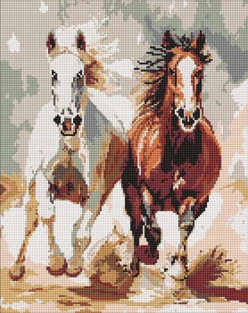 Набір з алмазною мозаїкою Чуттєвий забіг" 40х50см  AMO20044"