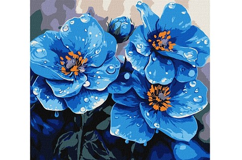 Картина по номерах Фіалки щоранку" 30х30см  KHO3317"