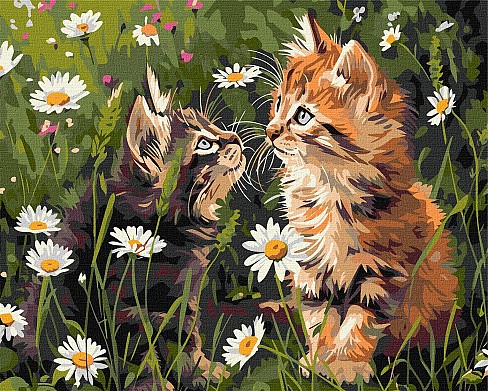 Картина по номерах Котики у квітах" 40х50см  KHO6631"
