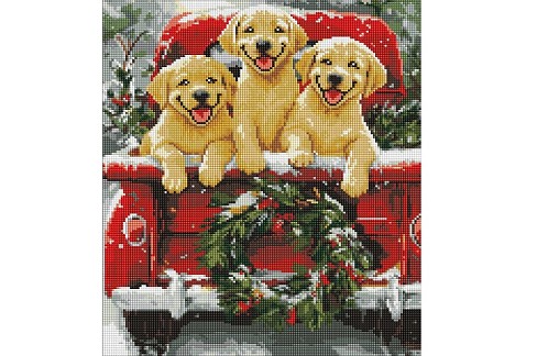 Набір з алмазною мозаїкою Собача поїздка" 40х50см  AMO20006"