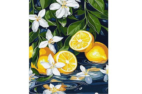 Картина по номерах Лимон у розрізі" 30х40см  KHO5733"
