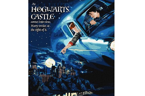 Набір для розпису по номерах WB Harry Potter: Політ на авто з фарбами металік" 40х50см KHO8719"