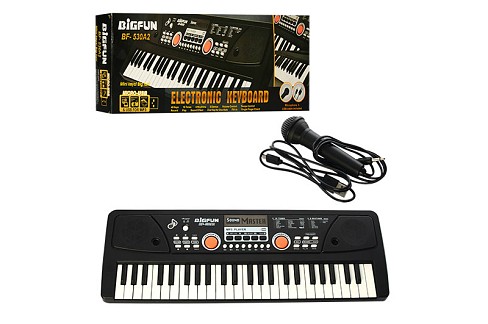 Синтезатор BF-530A2 (24шт) 49 клавіш,мікрофон,USB,mp3,запис,Demo,живлення від мережі,кор.,53-19-6см