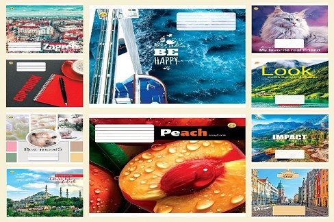 Зошит 60 арк. клітинка Люкс ТЕ11644  Мікс1, 10/160 10к. ТЕ11644