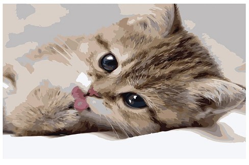 Карти ни по номерах VA-0522 Маленький котик", розміром 40х50 см"