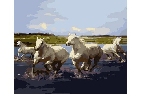 Картина  по номерах Четвірка лошадей Strateg з лаком та рівнем розміром 40х50 см (VA-0362)