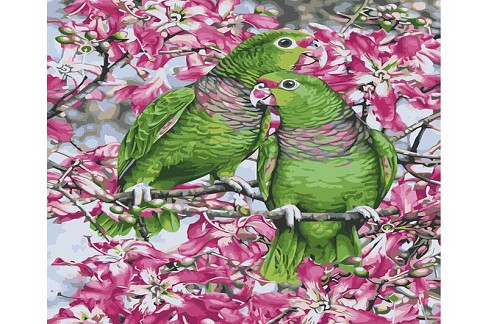 Картина по номерах Зелені папуги Strateg з лаком та рівнем розміром 40х50 см (VA-3665)