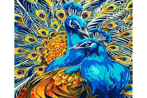 Картина по номерах Пара павичів Strateg з лаком та рівнем розміром 40х50 см (VA-3761)