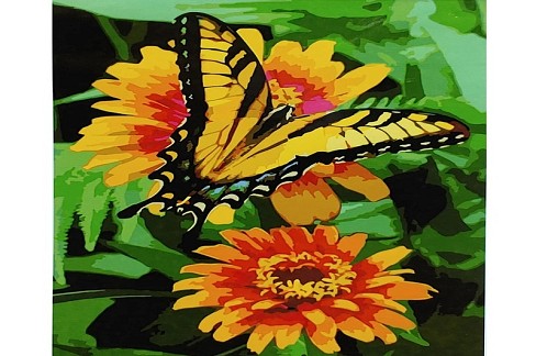 Картина по номерах Метелик на цинії SY6911 Strateg розміром 40х50 см