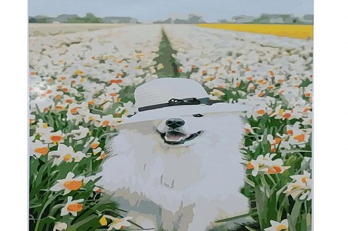 Картина по номерах Самоїд серед нарцисів SY6833 Strateg з лаком та рівнем розміром 40х50 см