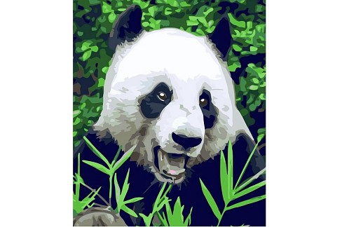 Картина по номерах Голодна панда Strateg розміром 40х50 см (GS517) БЕЗ ЛАКУ