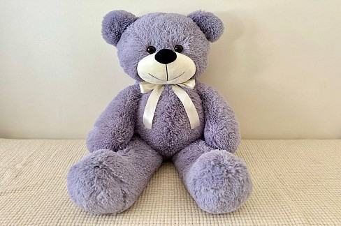 Ведмежа сіре В146/5 135см