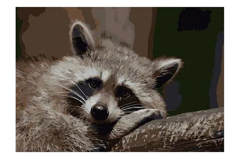 Картина по номерах Сумний єнотик Strateg розміром 40х50 см (DY087)