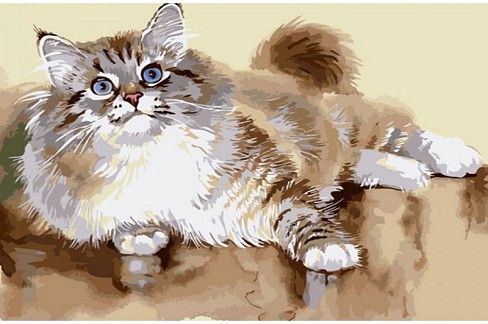Картина по номерах Пухнастий котик Strateg розміром 40х50 см (GS1323)