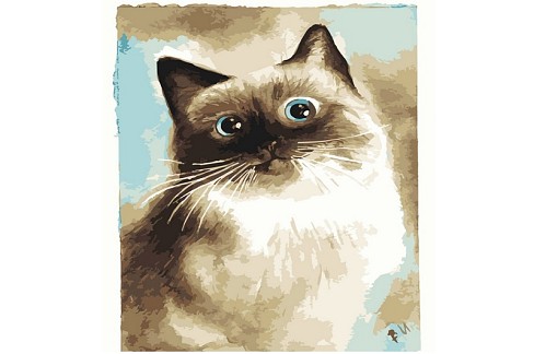 Картина по номерах Дивовижна кішка Strateg розміром 40х50 см (DY180)