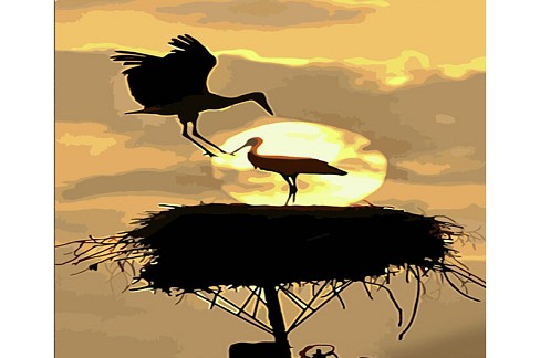 Картина по номерах Дім лелек Strateg розміром 40х50 см (DY417)