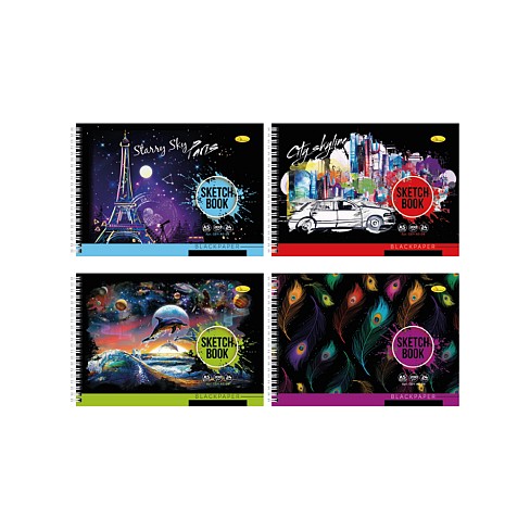Скетч-бук BLACK 24арк., А5   СББ-А5-24УПАК4шт