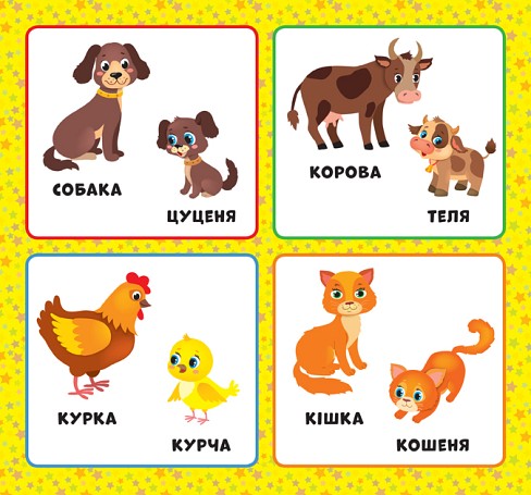 Книга Перша книжка малюка. Хто моя мама?  Ула21528