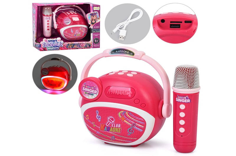 Колонка HY842-E (24шт) 14-8-12см/16см, світло, мікрофон, акум, Bluetooth, TFслот, USBзарядне, 2 коль