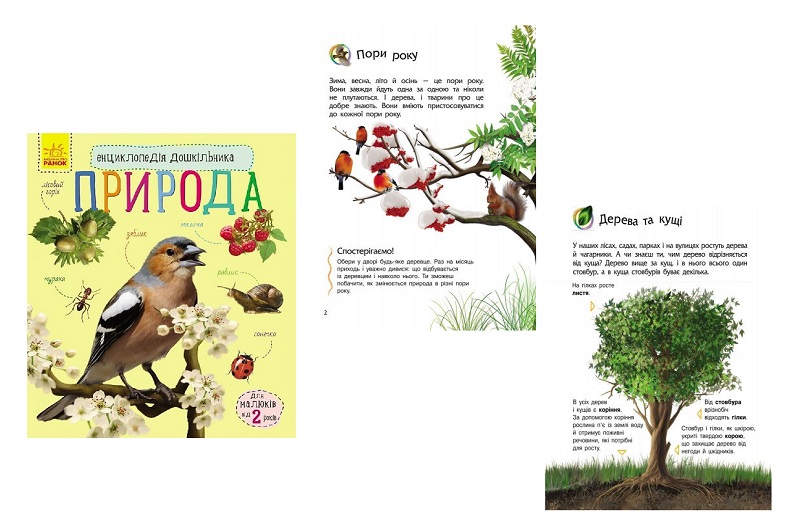 Енциклопедія дошкільника (нова) : Природа (у)  С614008У