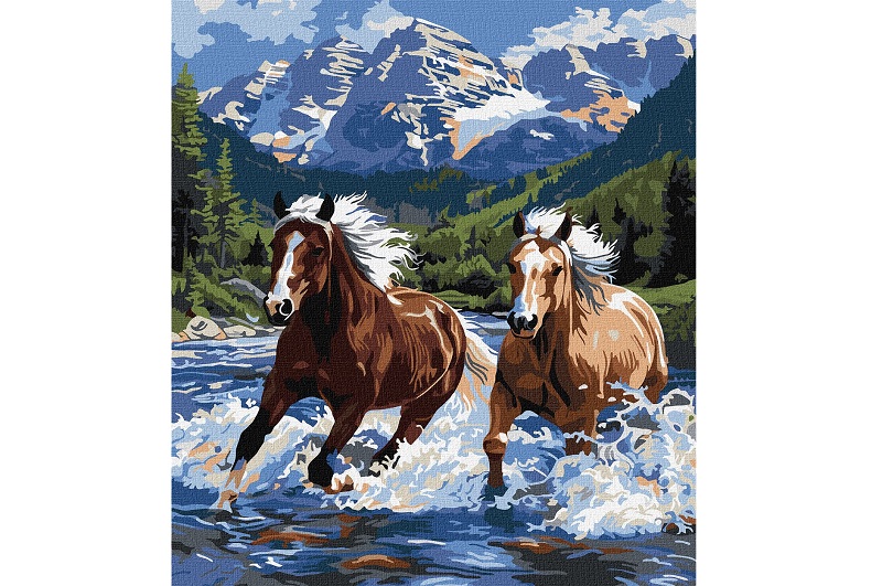 Картина по номерах Сила у русі" 40х50см  KHO6830"