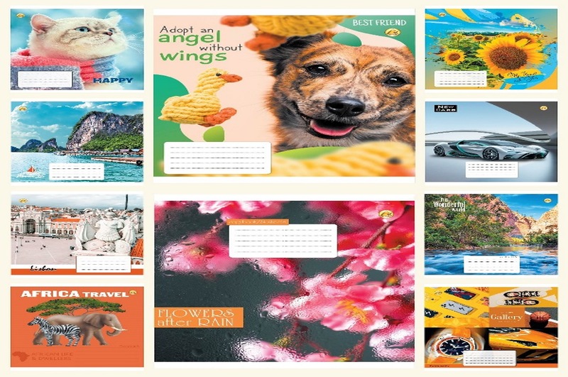 Зошит 24 арк. клітинка Люкс ТЕ11335 Мікс 5, 20/400 10к. ТЕ11335 УПАК20шт