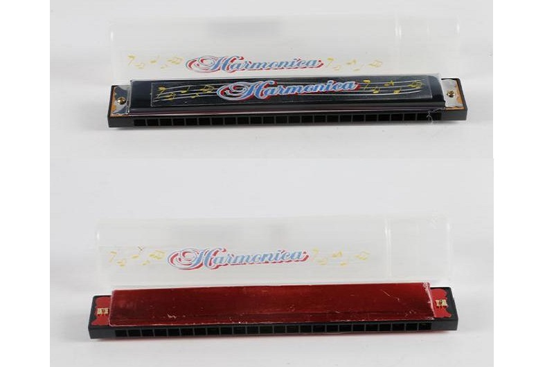 Губна гармошка арт. 9824K (480шт/2)2 кольори,у футлярі 18*3*4см