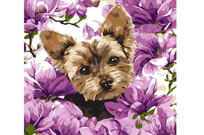 Картина по номерах Йорк в магнолії" 40х40см  KHO6796"