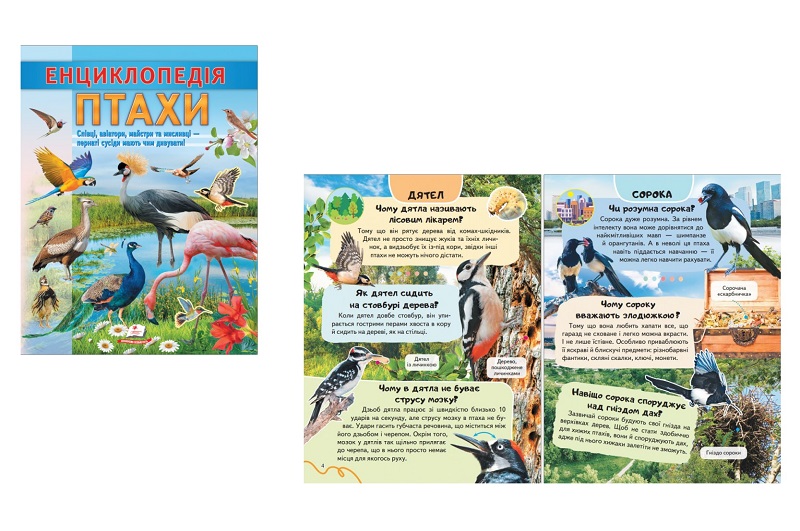 Книга ЦЕ Енциклопедія Птахи (32 стр), укр./20  Пег8344
