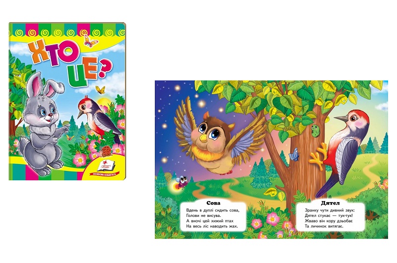 Книга КА5 СР Хто це? (Зайчик)" (укр)/20  Пег6688"