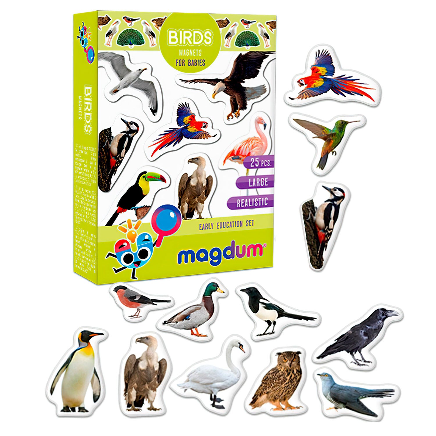 Magnetic set Birds photo" ML4031-30 EN"