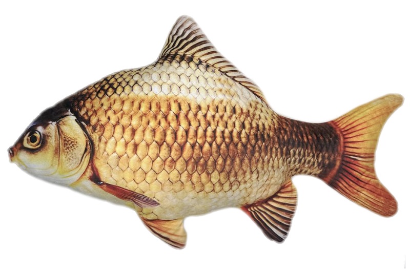 Іграшка м’яконабивна «КАРАСЬ ЗОЛОТИЙ 70см  K-G-70