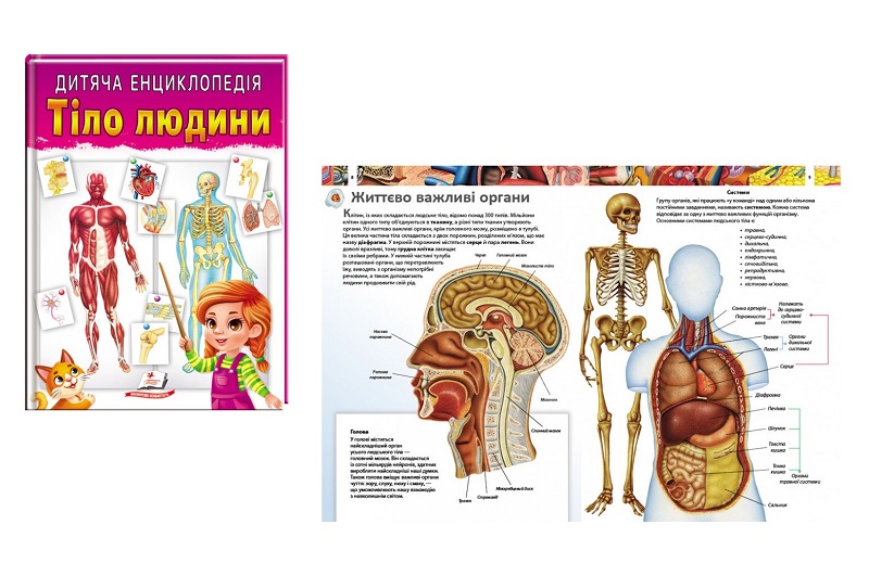 Книга А4 64 Тіло людини НОВ (64 стор) укр.  Пег3240