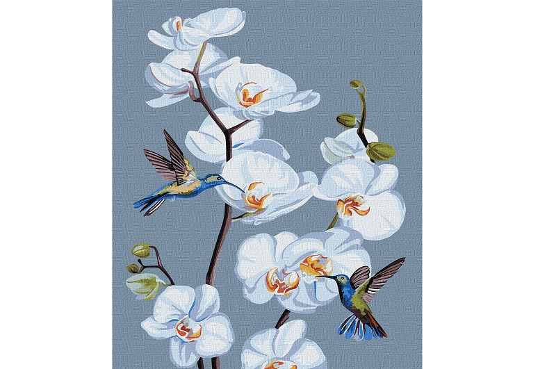 Картина по номерах. Квітучі орхідеї" 30х40см  KHO3241"