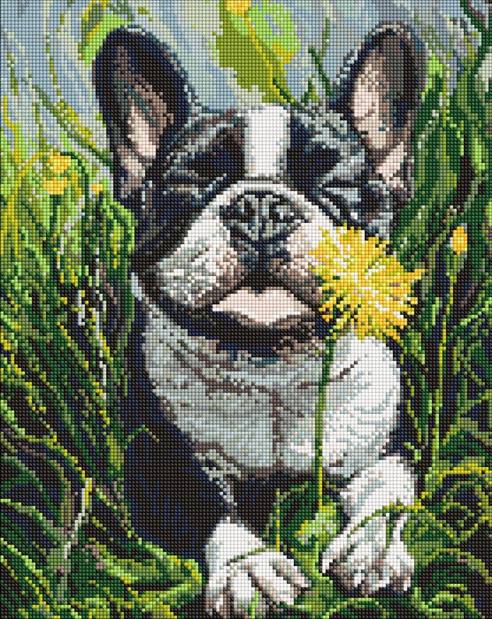 Набір з алмазною мозаїкою Пес і кульбаба" 40х50см  AMO20120"