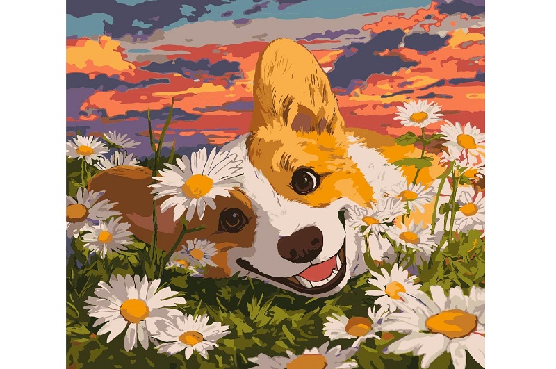 Набір для розпису по номерах Коргі в ромашках" 40х40см KHO6798"