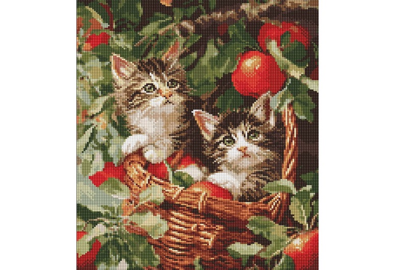 Набір з алмазною мозаїкою Коти у кошику" 40х50см  AMO20277"