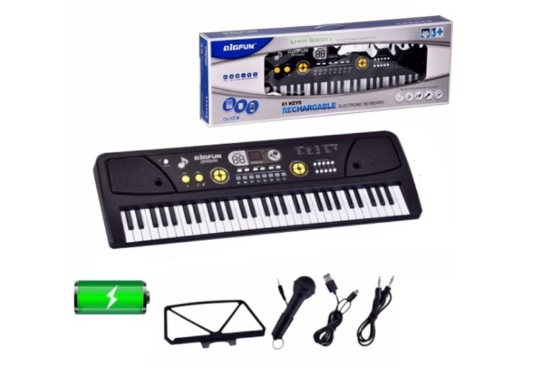 Орган BF-6301C 61 клавіша,мікрофон,USB.AUX.кор.65,5*9*22,4 /12/