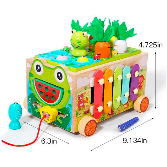 Дерев'яна іграшка Центр розвиваючий MD 0729 (12шт) навчальний, каталка на шнурі, 22-19-в16см, ксилоф