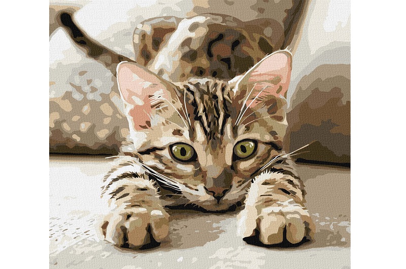 Картина по номерах Грайливе кошеня" 40х40см  KHO6877"